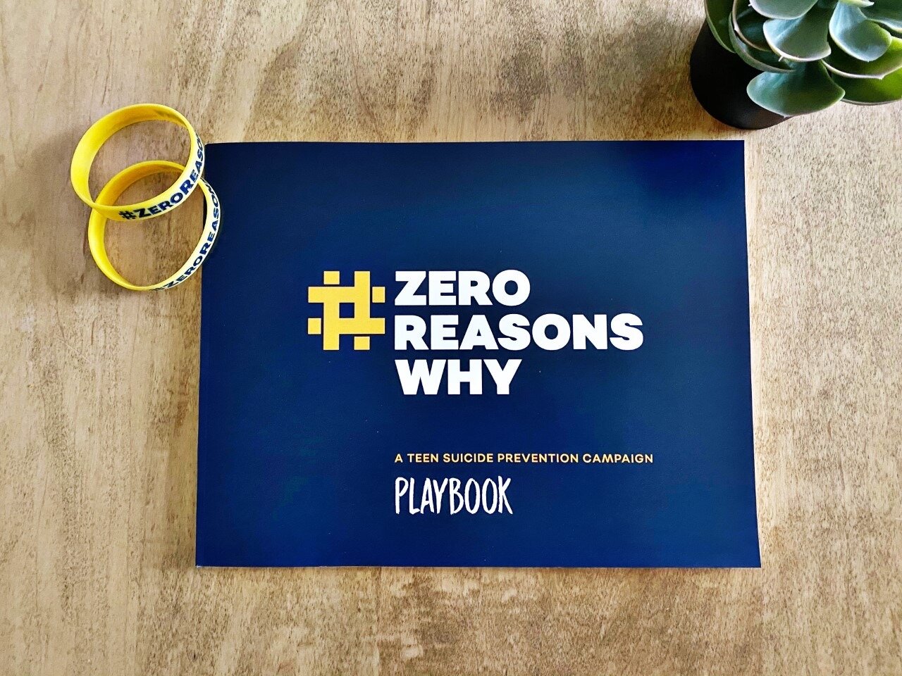 playbook playbook